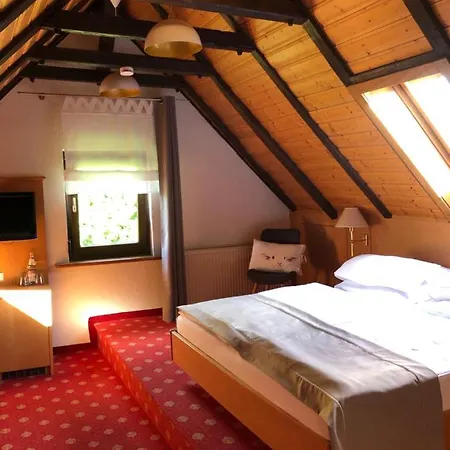 Der Hirsch & Frederix - Altstadthotel & Restaurant 3*