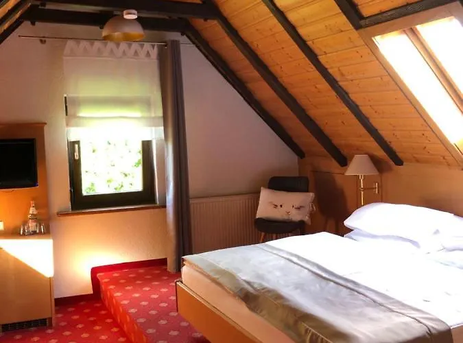 Der Hirsch & Frederix - Altstadthotel & Restaurant 3*